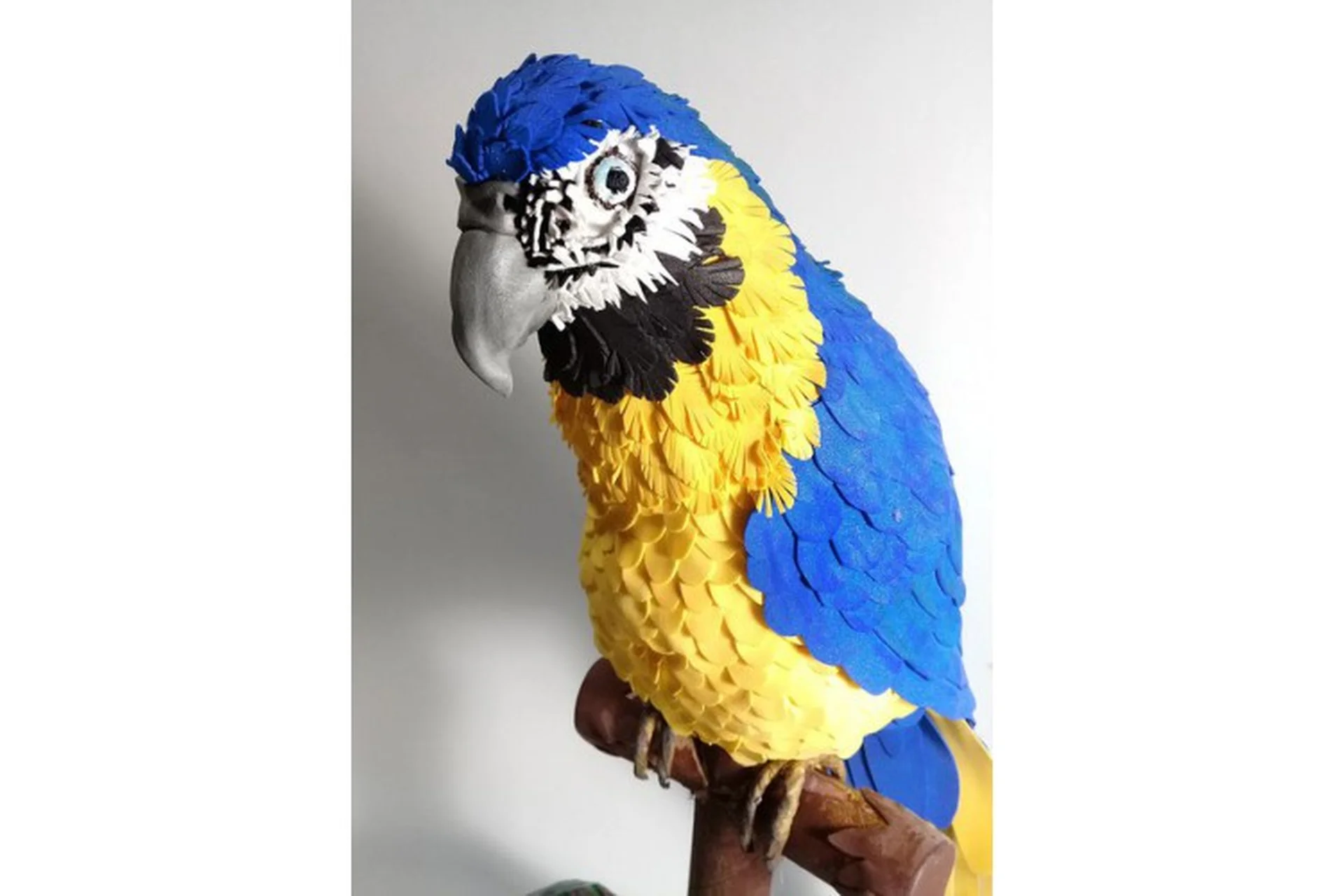 Попугай (Татьяна Шмелева), фото 1 из 1.