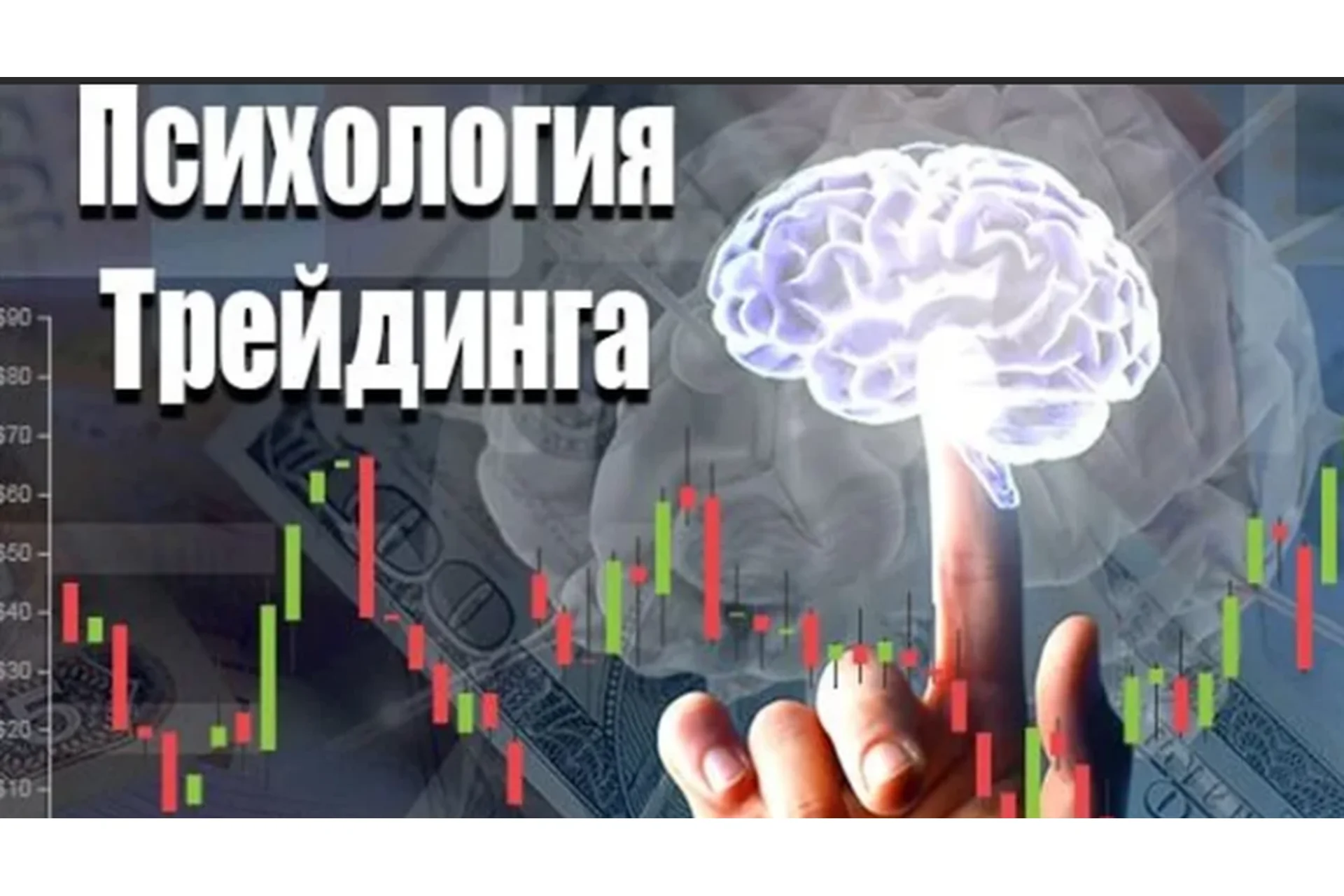 Психология эмоций трейдера. Дисциплина = деньги (Павел Жуковский), фото 1 из 1.