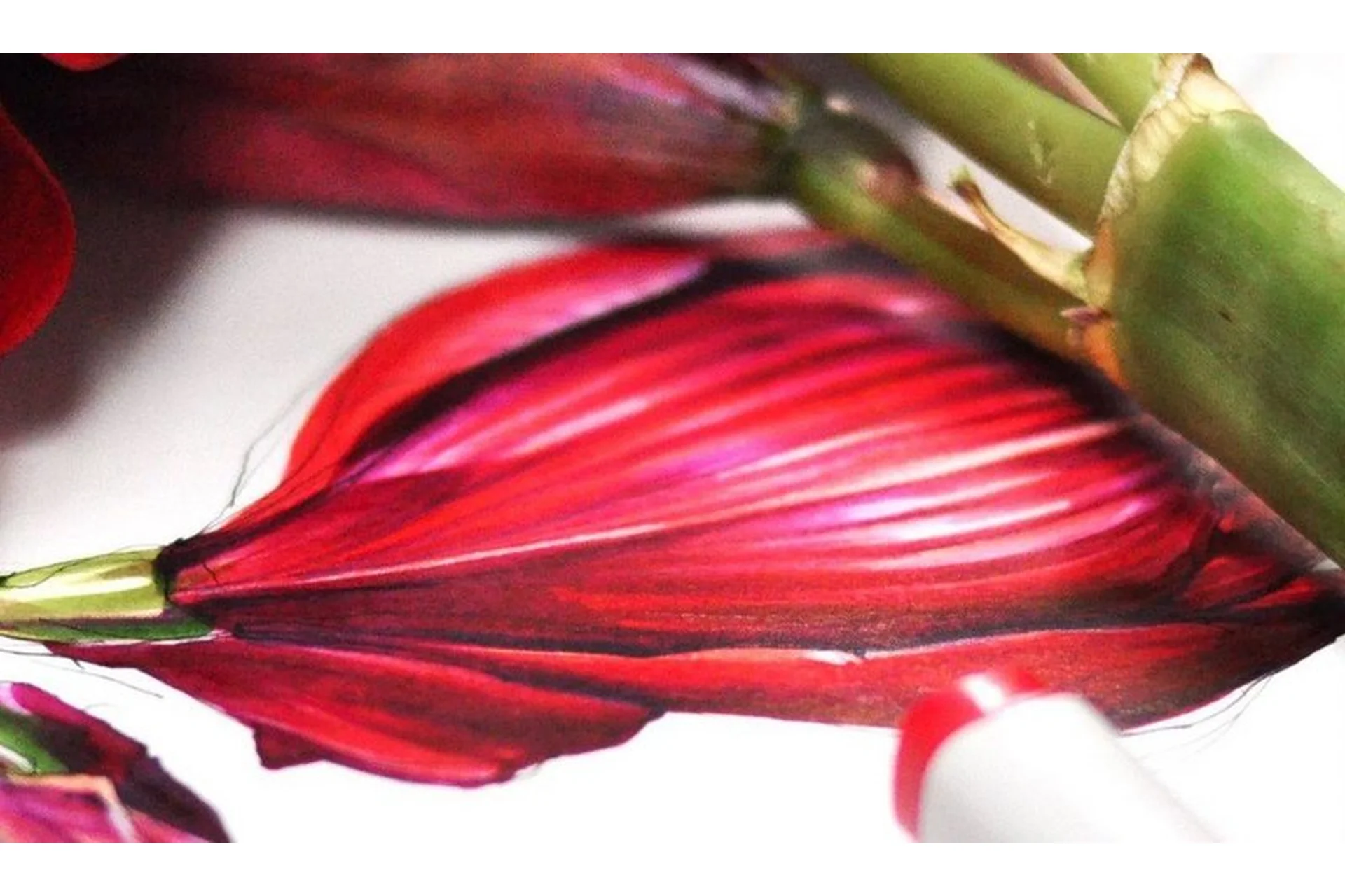 [KalachevaSchool] Скетчбук. Мастерство зарисовок (Анна Расторгуева), фото 1 из 1.