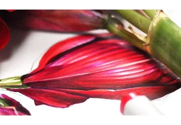 [KalachevaSchool] Скетчбук. Мастерство зарисовок (Анна Расторгуева)