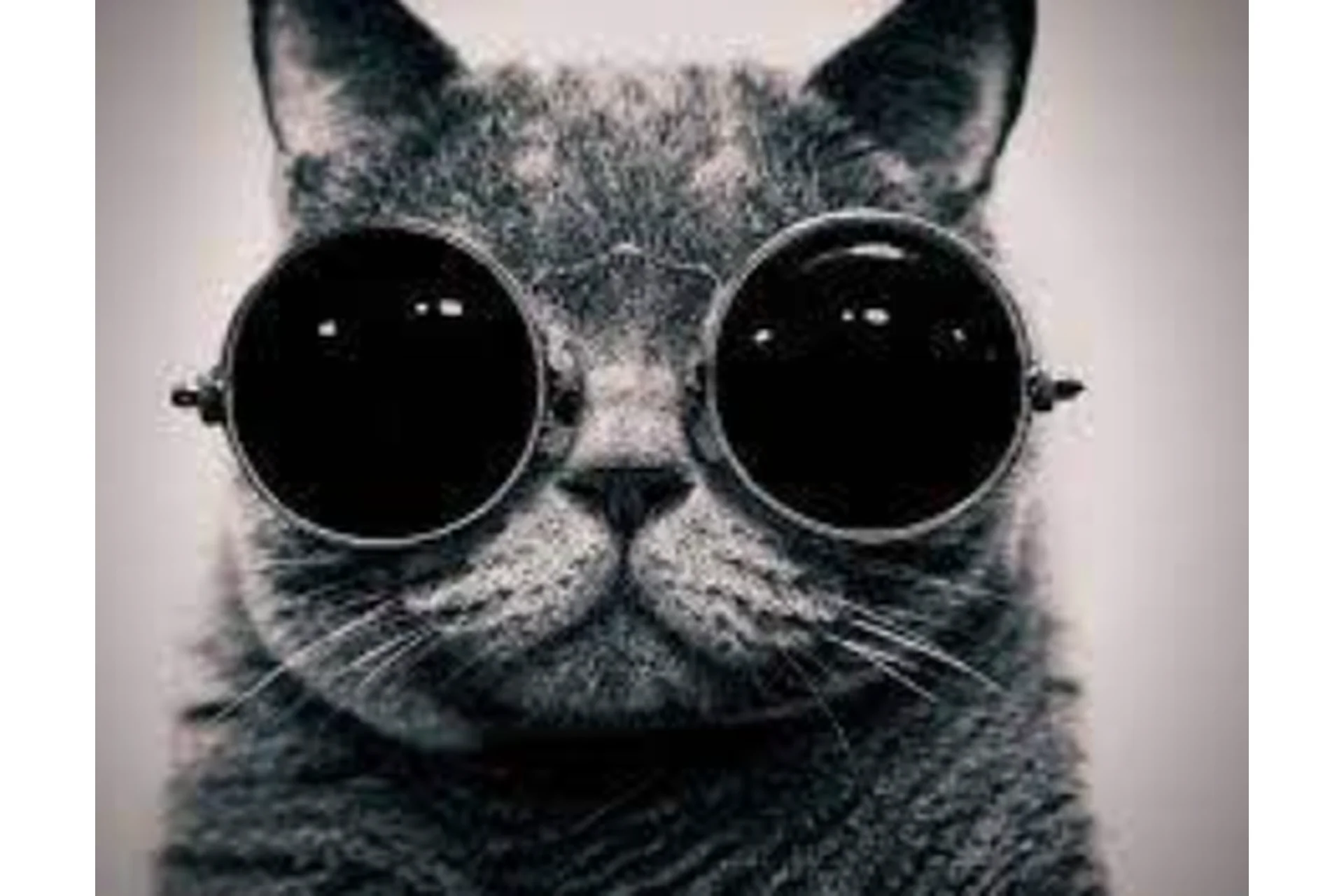 Бурж CPA - приват тема (Андрей Золоторев), фото 1 из 1.