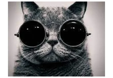 Бурж CPA - приват тема (Андрей Золоторев)