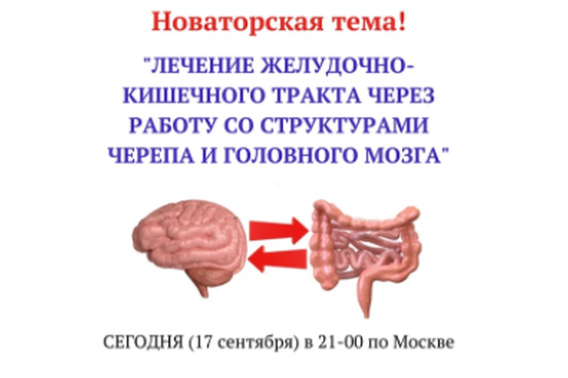 Лечение желудочно-кишечного тракта через работу со структурами черепа  (Игорь Атрощенко), фото 1 из 1.