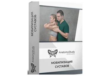 [Анатомия] Мобилизация суставов. Мануальные техники (Сергей Скворцов)