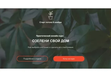 Озелени свой дом. Тариф Мне только посмотреть (Натали Серова)