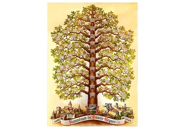 Сила рода   (Константин Мешков)