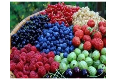 [Земледелие] Пакетное предложение: Кустарники №1 + Газон + Розы