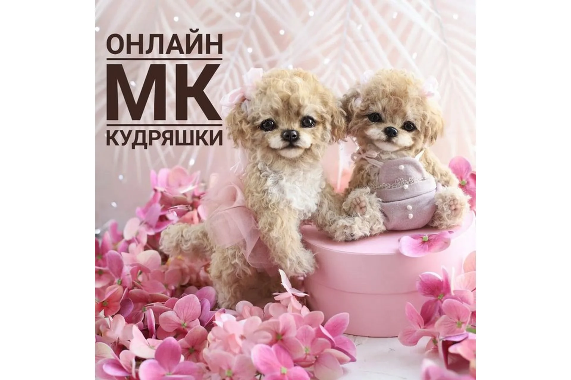 Кудряшки (Инна Борзенкова), фото 1 из 1.