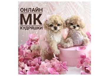 Кудряшки (Инна Борзенкова)