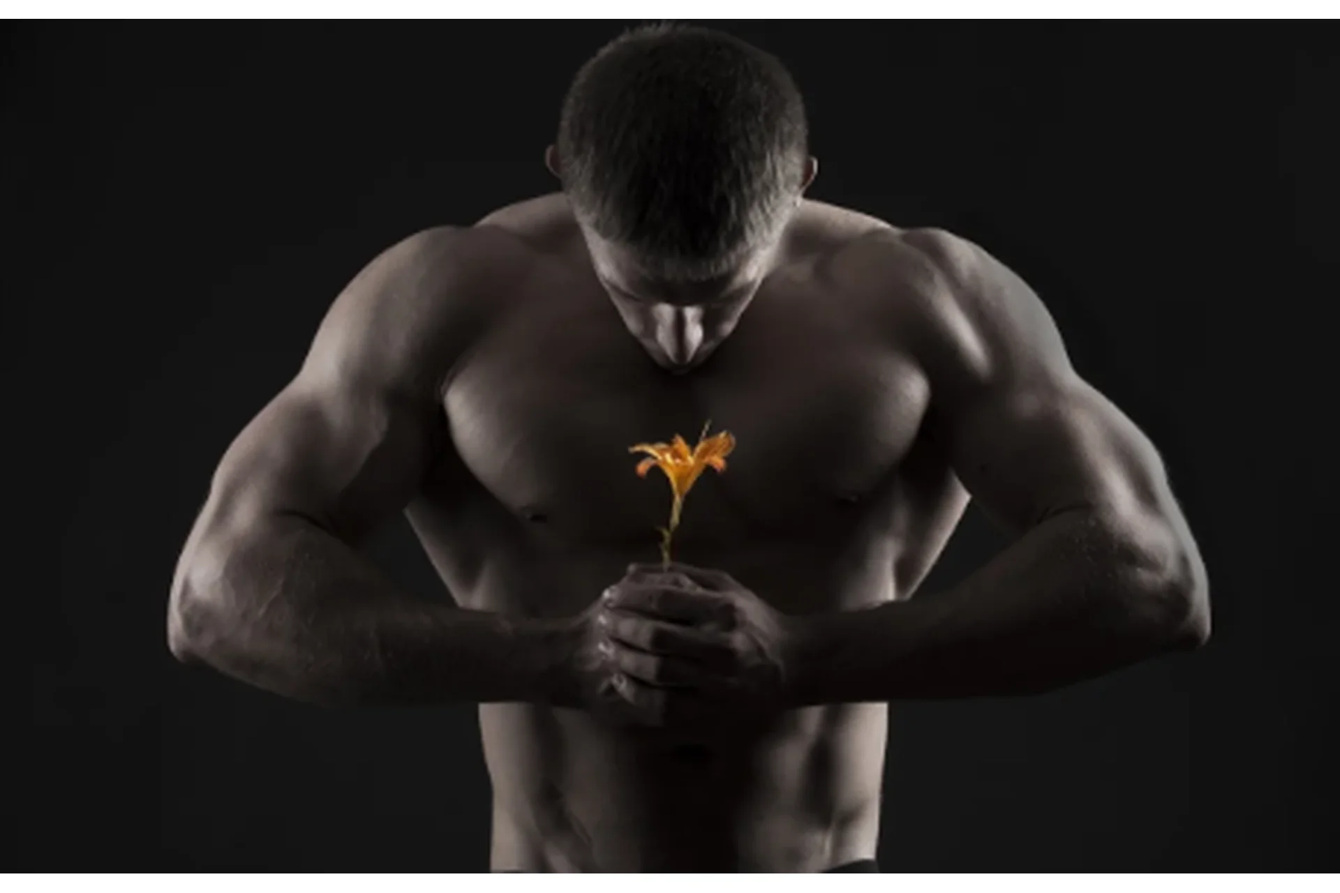 Мужская сила (Станислав Голубев), фото 1 из 1.