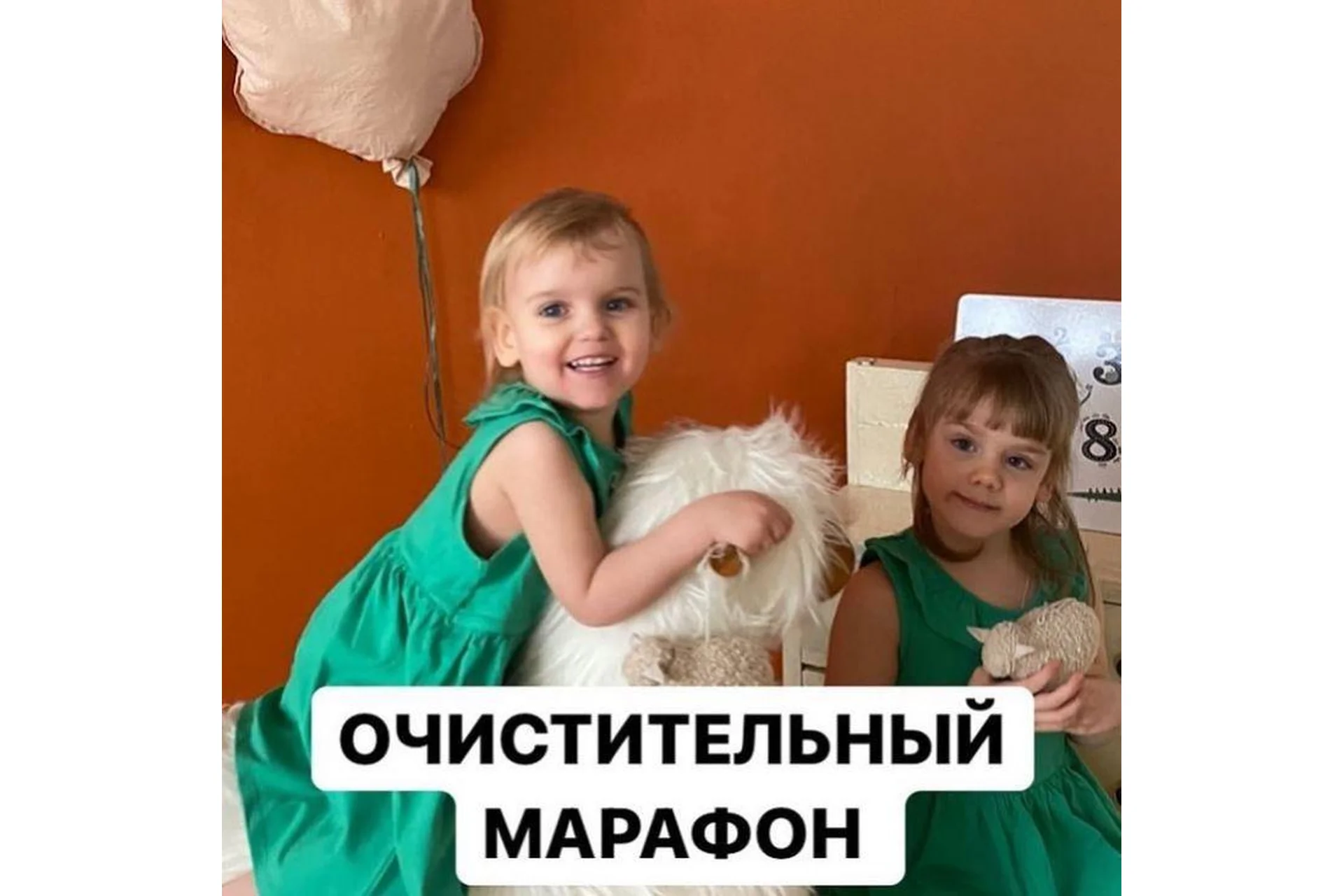 Очистительный марафон. Тариф Базовый (Алиса Басеева), фото 1 из 1.