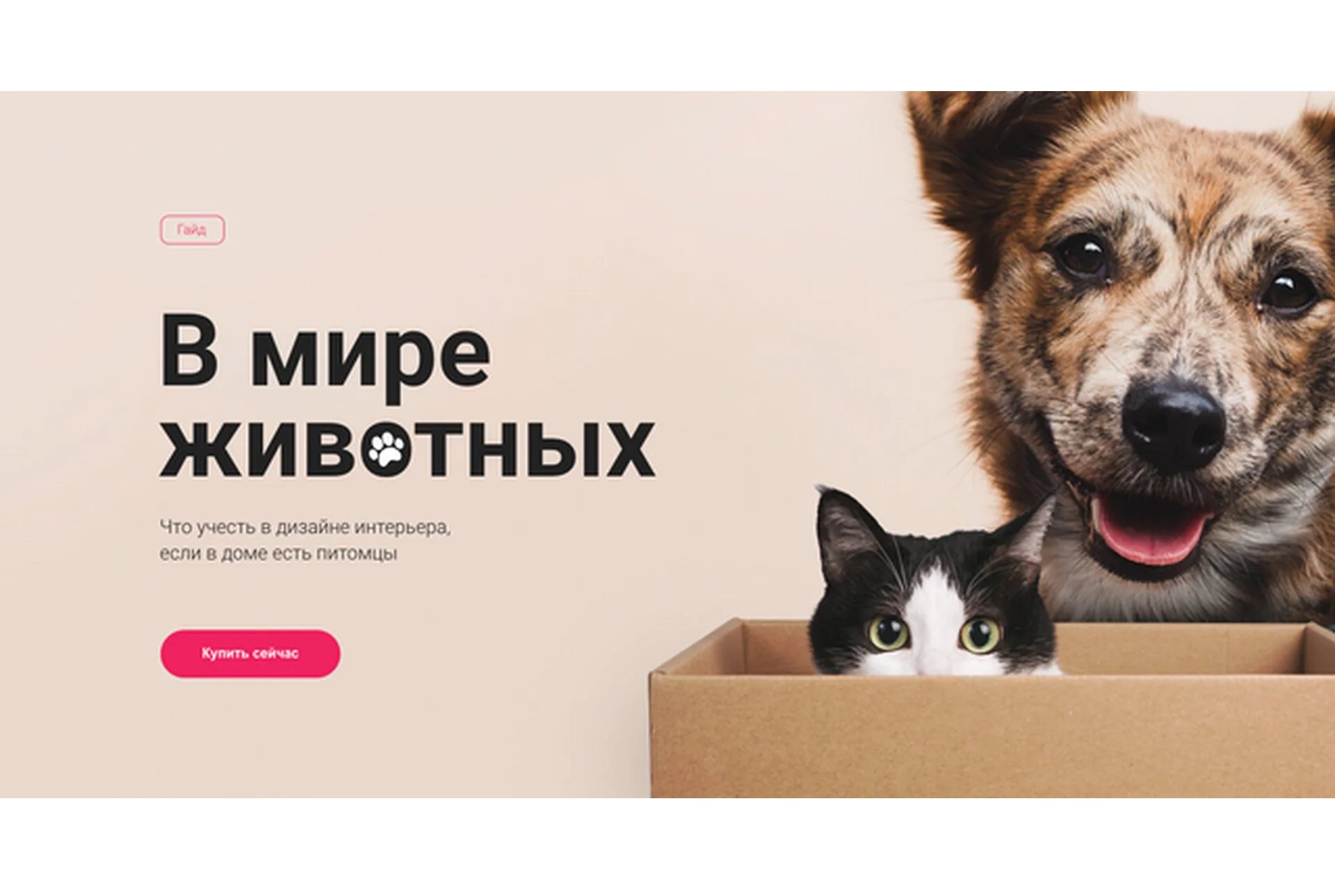 [Просто Ремонт] Гайд «В мире животных» (Ксюша Измайлова), фото 1 из 1.