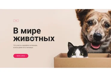 [Просто Ремонт] Гайд «В мире животных» (Ксюша Измайлова)