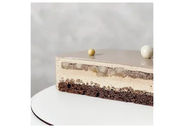 Сборник техкарт муссовых тортов №2 (zimnyaya_dolci)