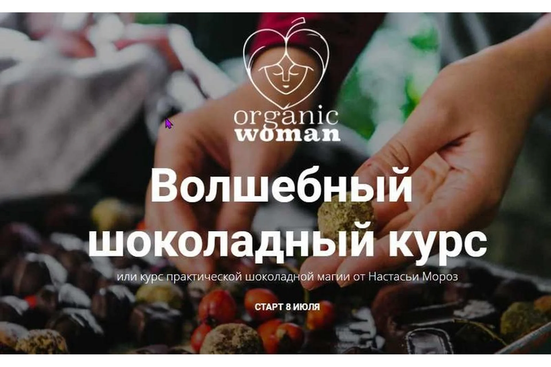 Волшебный шоколадный курс (Настасья Мороз), фото 1 из 1.