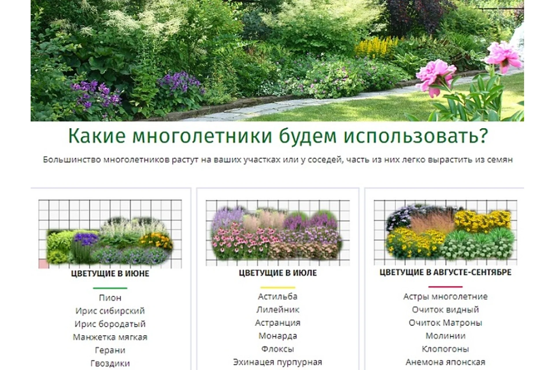 Готовые планы цветников из многолетников, растущих на каждом участке (Наталья Мягкова), фото 1 из 1.