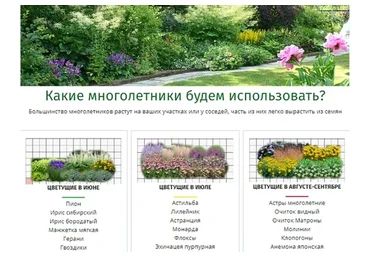 Готовые планы цветников из многолетников, растущих на каждом участке (Наталья Мягкова)