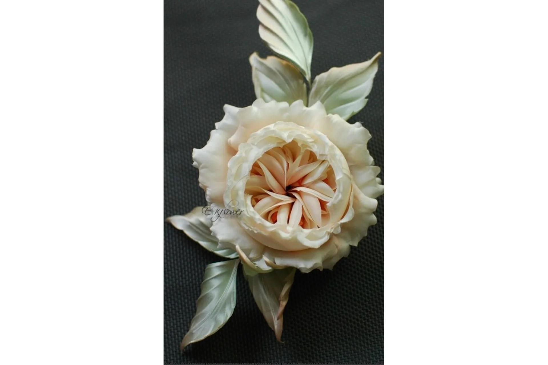 Роза «Анна» (Елена Курицына), фото 1 из 1.