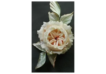 Роза «Анна» (Елена Курицына)