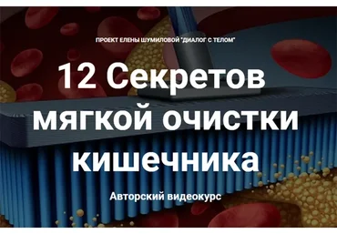 12 Секретов мягкой очистки кишечника (Елена Шумилова)