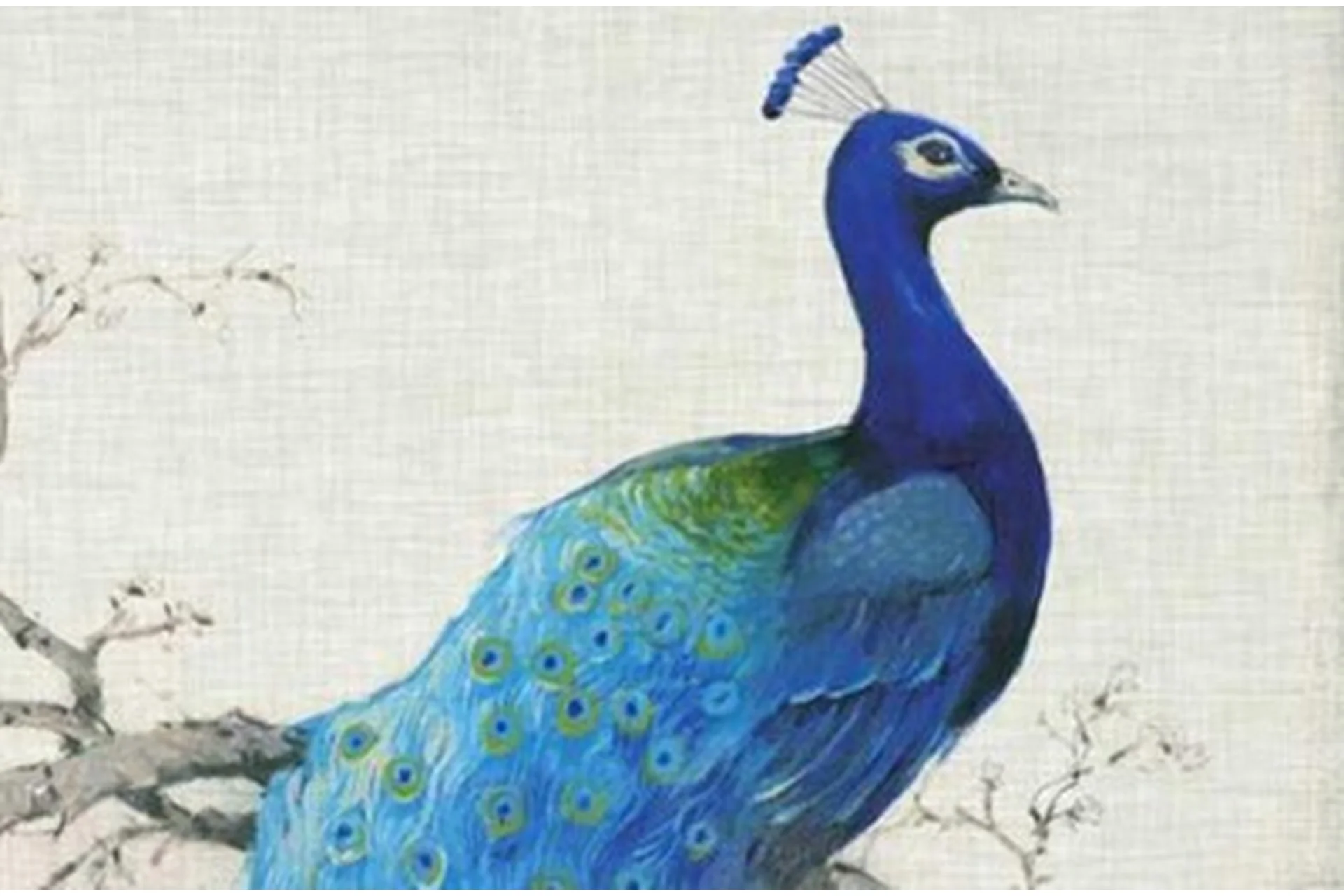 Активизации Про (Наталия Цыганова), фото 1 из 1.