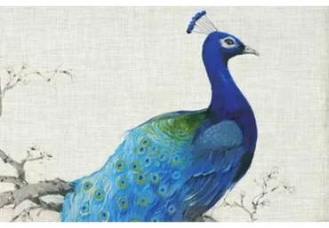 Активизации Про (Наталия Цыганова)