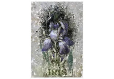 [Аурум] Три портрета цветка Ириса (Елена Ильичева)
