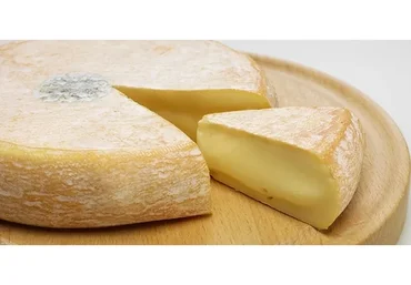 Экспресс курс для практикующих сыроделов (Марина Каманина)