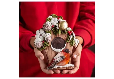 Зимний курс «Новогодний бумеранг». 2 блока: Любитель, Профессионал (Виктория Бредис)