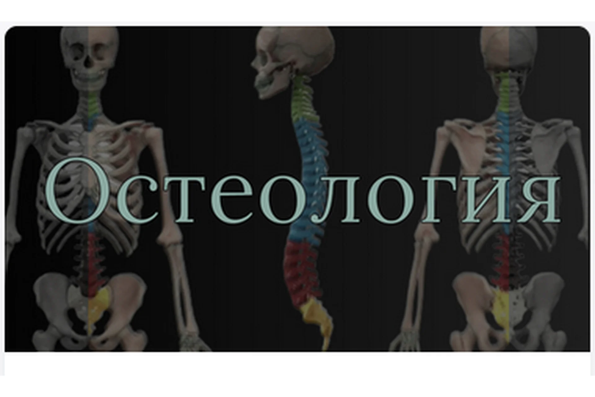[AnatomyEducation] Модуль 1. Остеология (Эдгар Кафаров), фото 1 из 1.