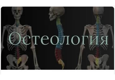 [AnatomyEducation] Модуль 1. Остеология (Эдгар Кафаров)