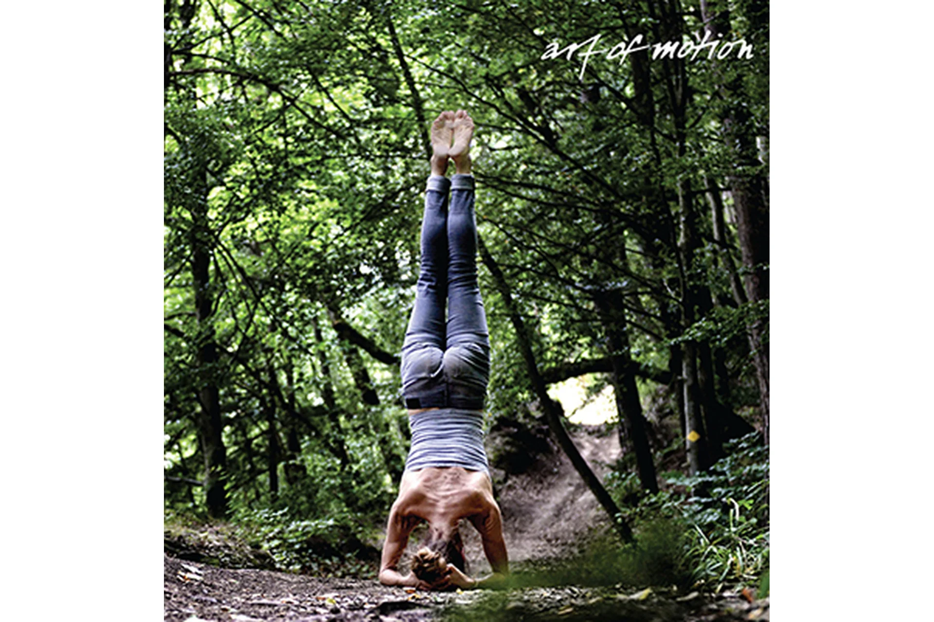 [Artofmotion] Основы слингов в движении  (Лидия Лаврукович, Анна Селиверстова), фото 1 из 1.