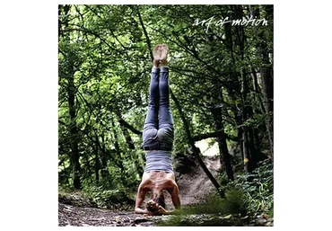 [Artofmotion] Основы слингов в движении  (Лидия Лаврукович, Анна Селиверстова)