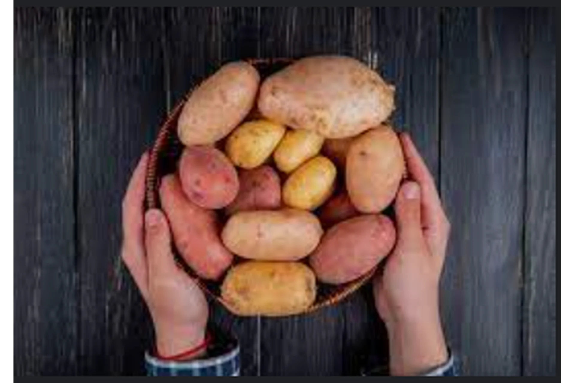 Бизнес на продаже картофеля (Петр Франтов), фото 1 из 1.