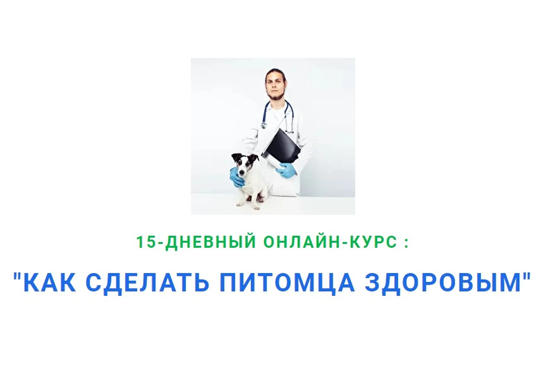 Как сделать питомца здоровым. 12 поток (Дмитрий Русаков), фото 1 из 1.