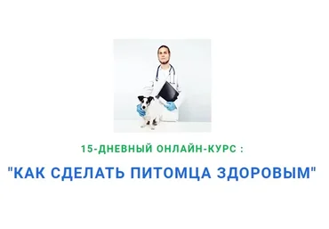 Как сделать питомца здоровым. 12 поток (Дмитрий Русаков)
