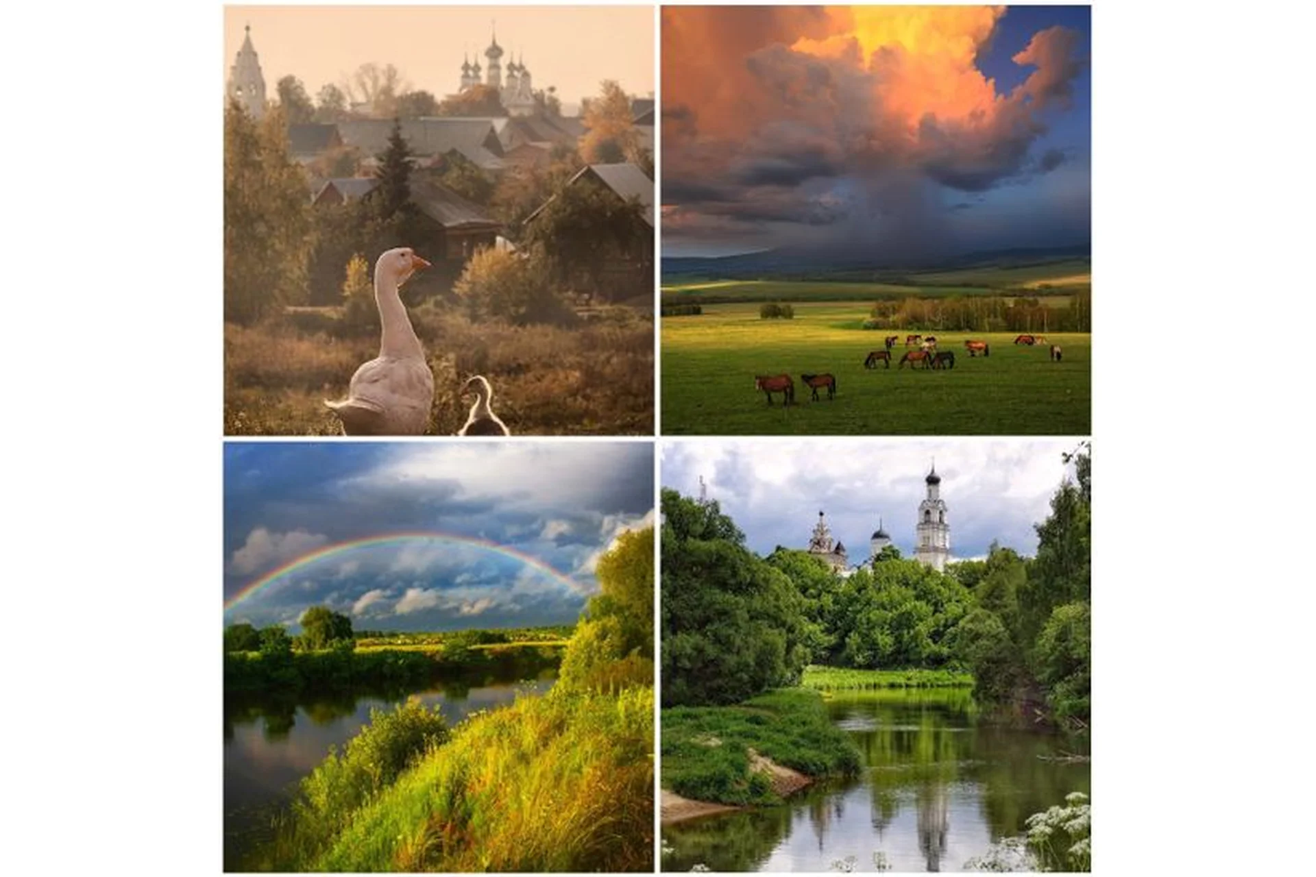 Любимые края. Пакет Необходимый минимум (Ольга Базанова), фото 1 из 1.