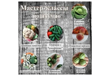 [ManuFruktura] Лепка овощей и фруктов. Набор мастер-классов (Юлия Бухарова)