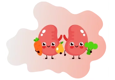 Очищение почек за 30 дней (Елена Миргородская)