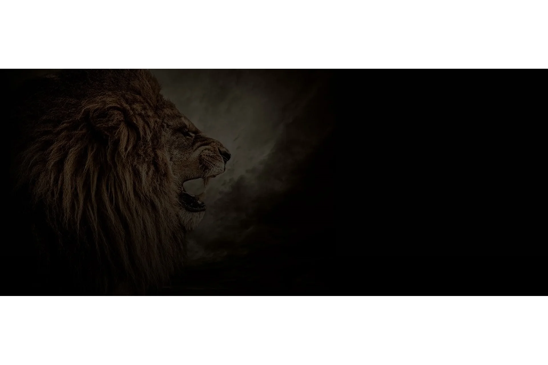 Самомотивация, 2015 (Филипп Богачев), фото 1 из 1.