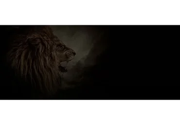 Самомотивация, 2015 (Филипп Богачев)