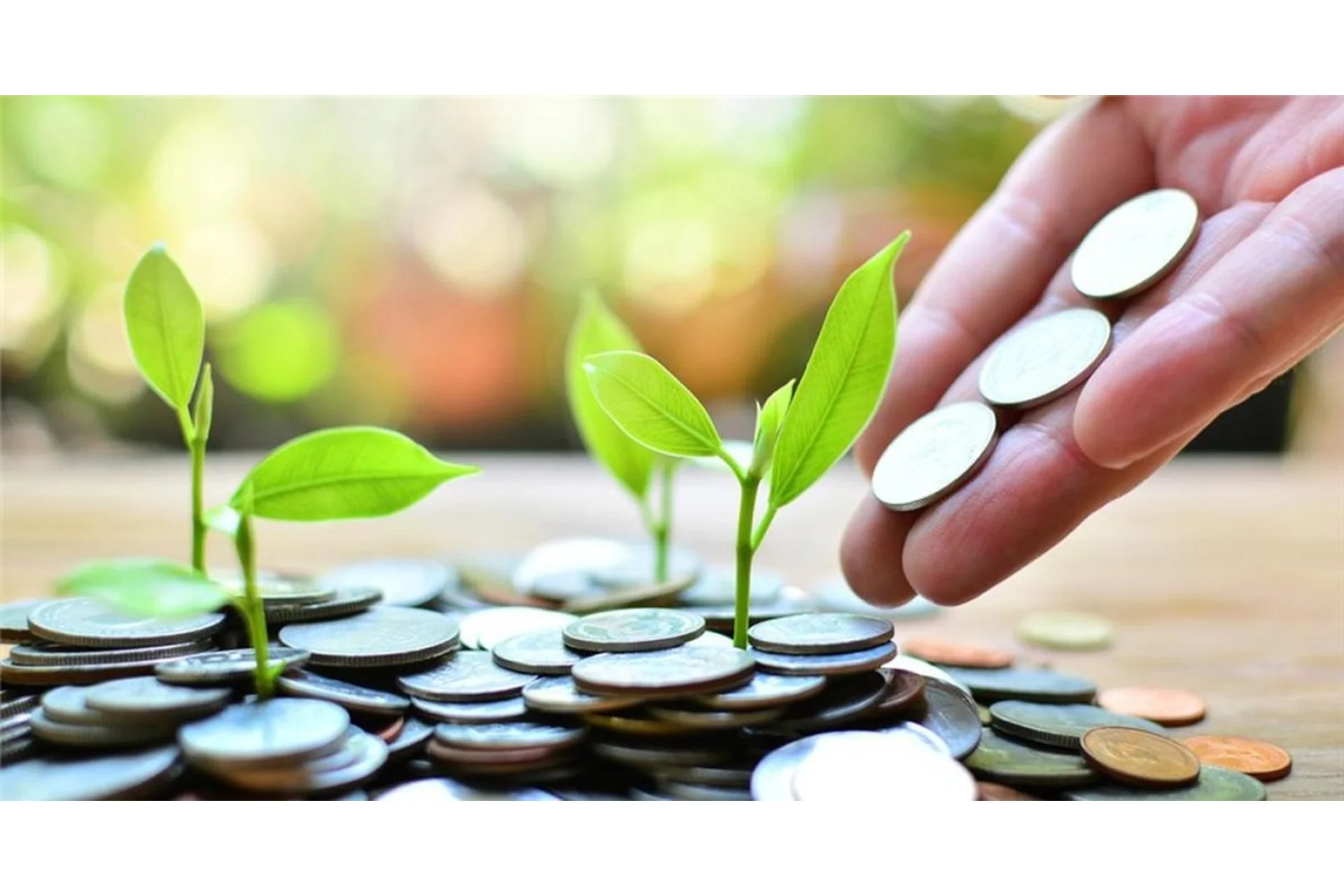 Инвестиции через зарубежного брокера. Тариф «Все включено» (Дмитрий Толстяков), фото 1 из 1.