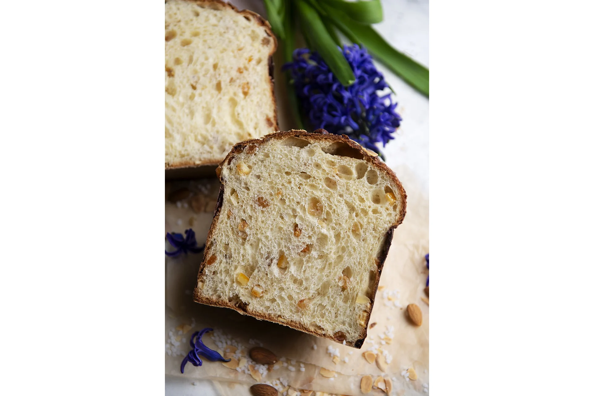 [KICA] Панеттоне (Александр Трофименков ), фото 1 из 1.