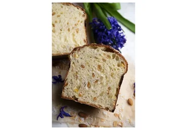 [KICA] Панеттоне (Александр Трофименков )