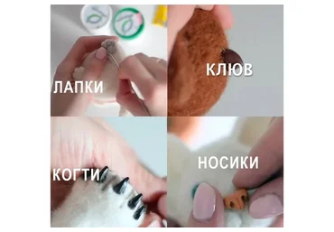 Делаем носик, коготки, клювы и лапки из полимерной глины (Кристина Дрозд)