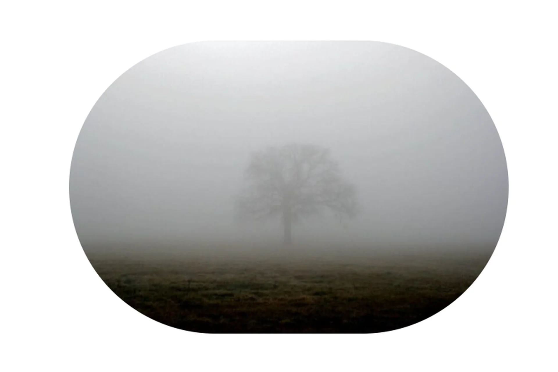 [ИПИР] Неопределенность: психологические аспекты встречи с ней (Дарья Халаджиева), фото 1 из 1.