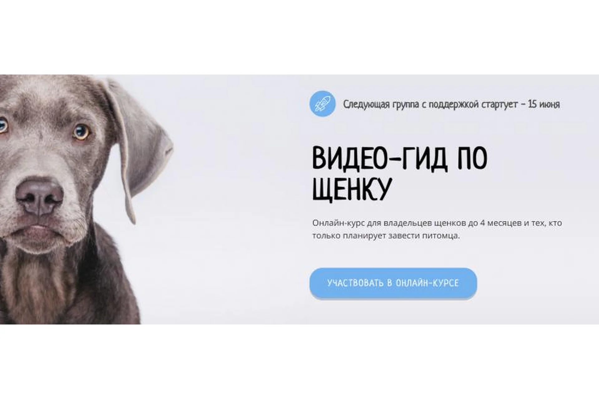 [Kinolog School] Видеогид по щенку. Могу сам (Антонина Зимарева), фото 1 из 1.