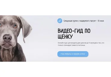 [Kinolog School] Видеогид по щенку. Могу сам (Антонина Зимарева)