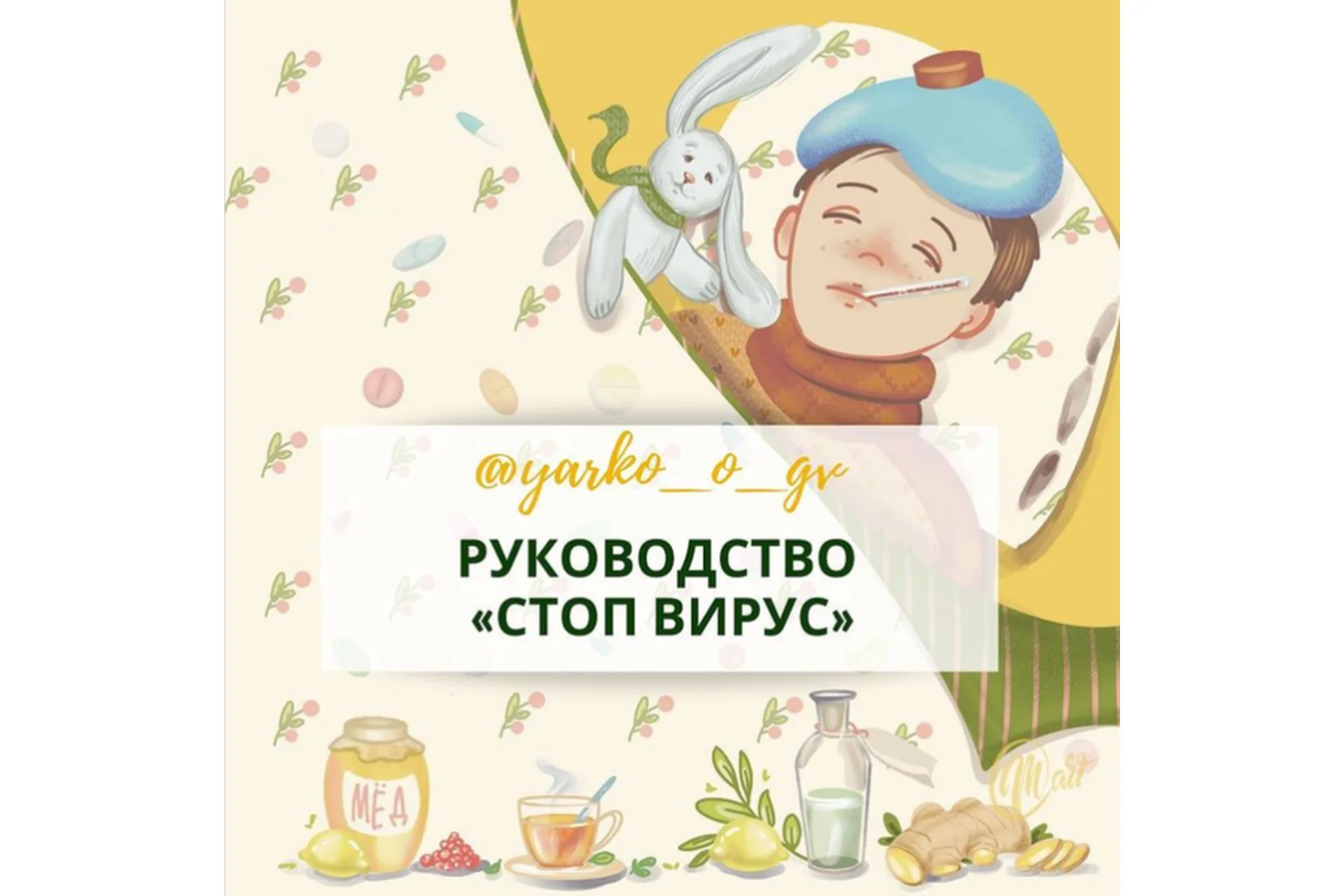 Руководство «Стоп Вирус» (Ярослава Илюшина), фото 1 из 1.