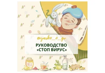 Руководство «Стоп Вирус» (Ярослава Илюшина)